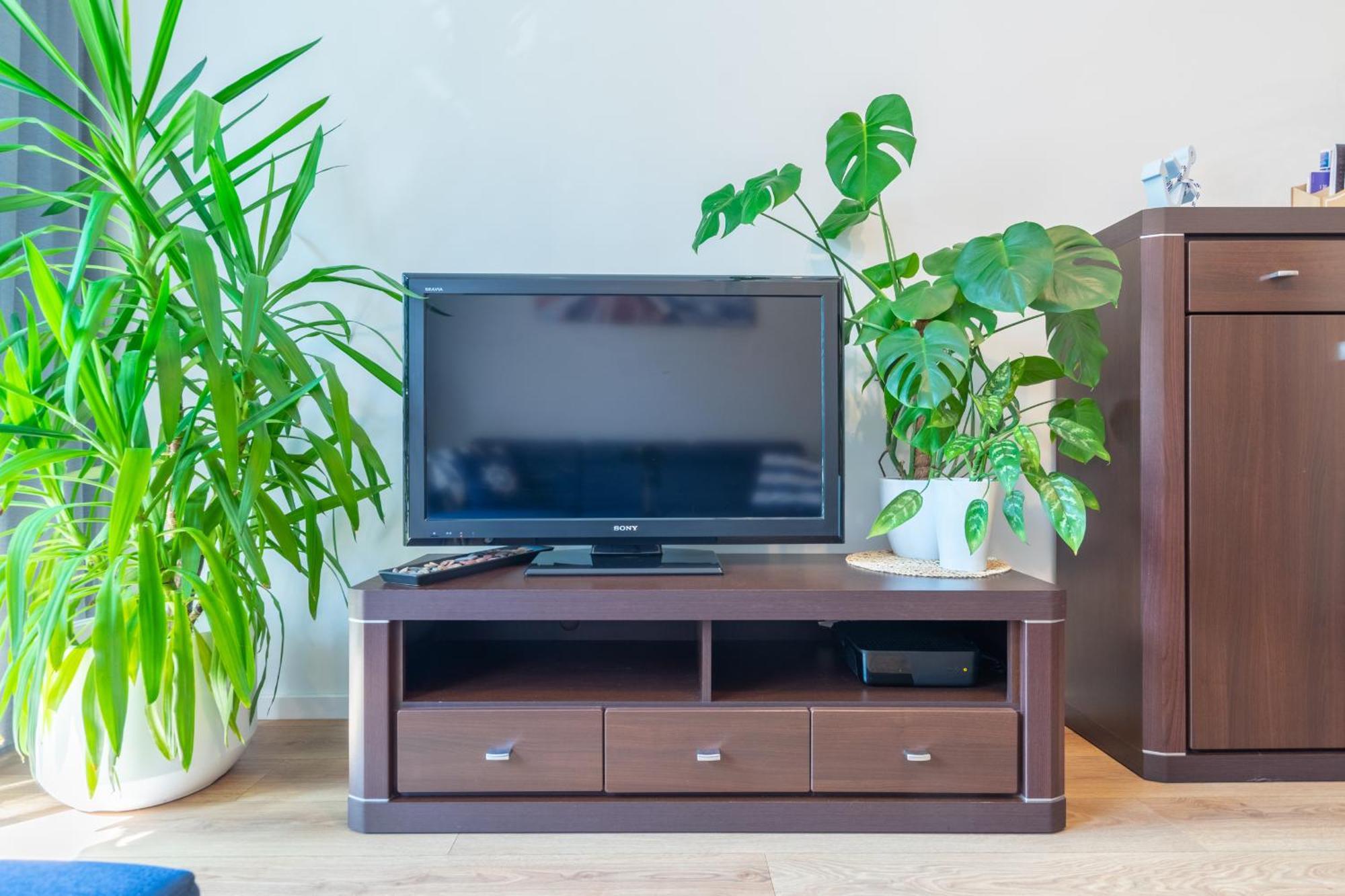 Apartament Anchor Przymorze 그단스크 외부 사진